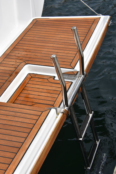 Swim Ladder