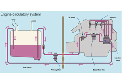 Engine Circulatory System