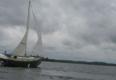 Lynx Sailing