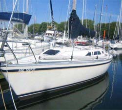 CS36Merlin250B