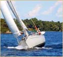 Niagara 35
