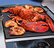 Shrimp Stuffed Lobster