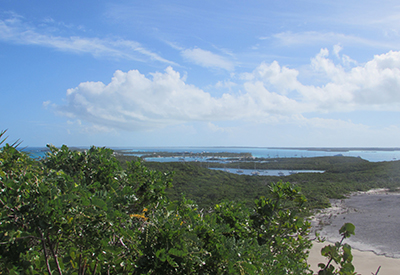 Bay