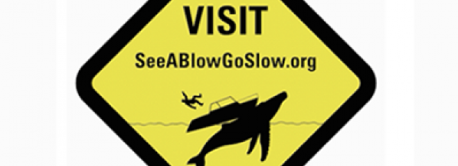 See a Blow? Go Slow!