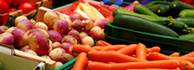 Safe Handling and Storing of Fruits and Vegetables