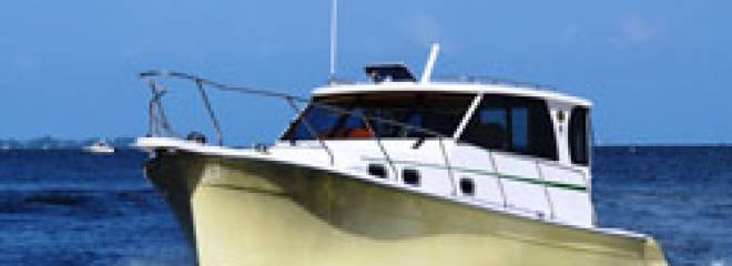 Marlow-Mainship 32