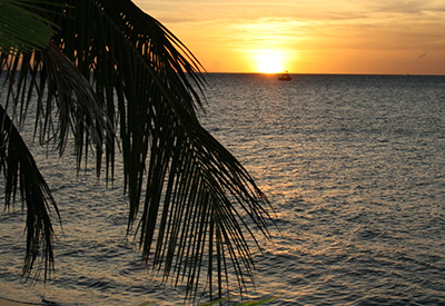 Dominica Sunset