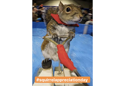 POTW Squirrel Appreciation Day